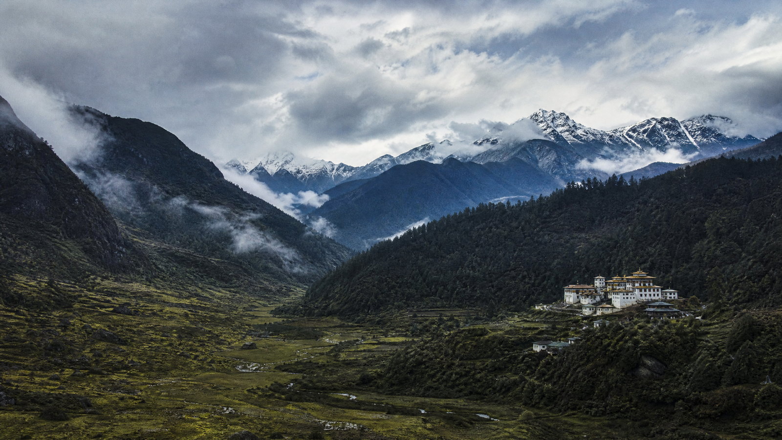 A quiet dawn view across Ziro Valley's patterned rice fields, bamboo groves and blue eastern Himalayan ridges.
