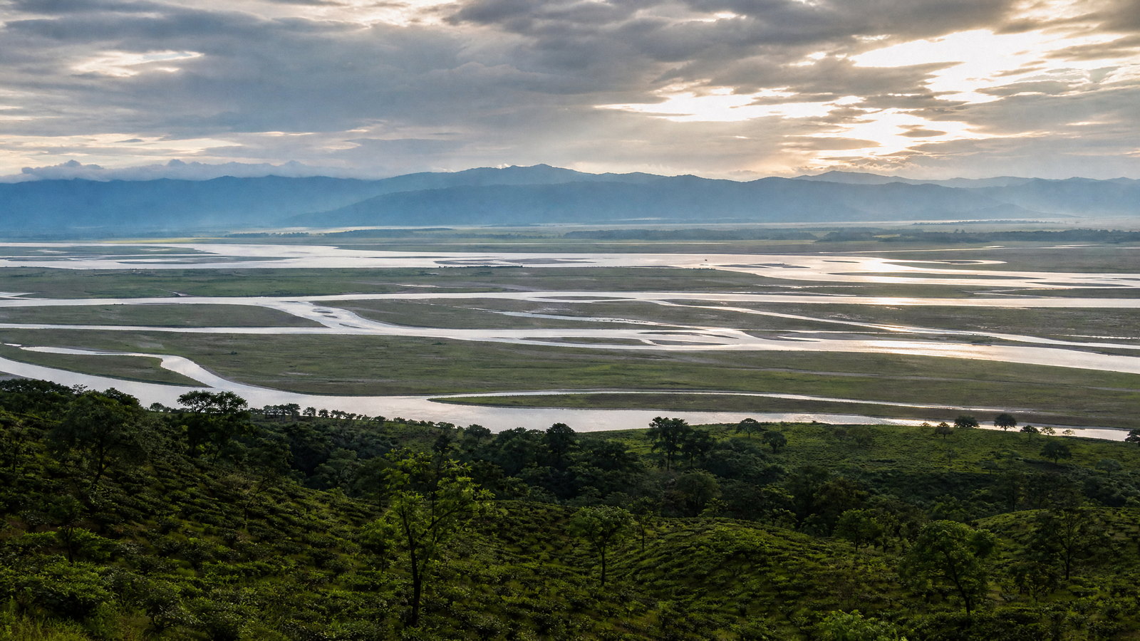 Early light across Kaziranga grassland, wetland and mist-softened Karbi Anglong foothills.