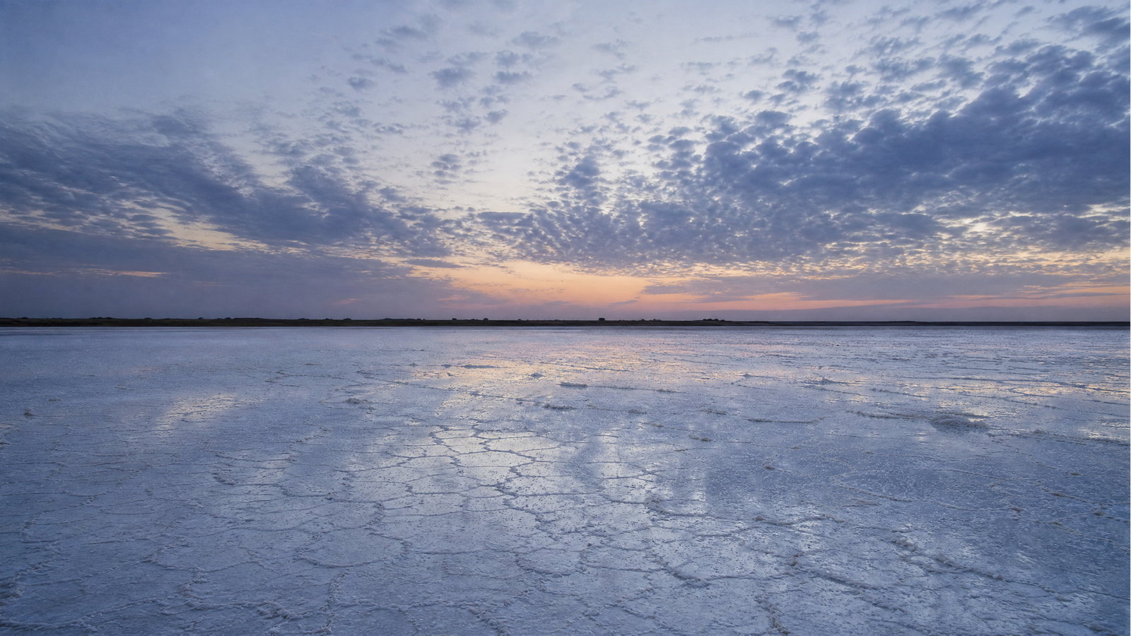 White salt flats of the Great Rann of Kachchh under an indigo sky.