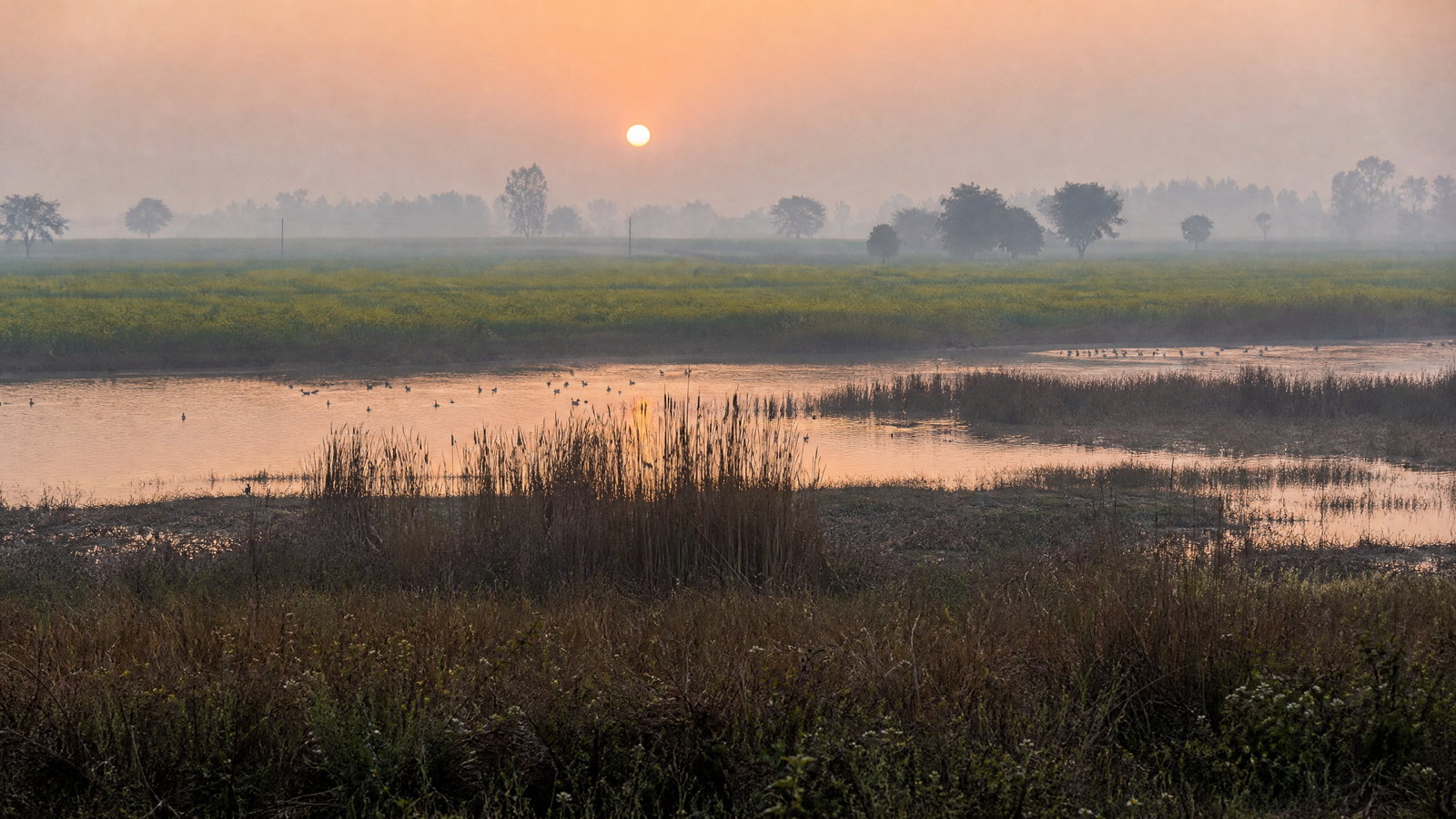 Mist lifting over forested Shivalik foothills and the twin lakes at Morni in Haryana.