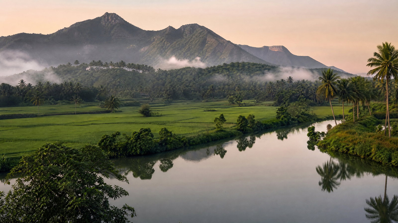 Mist lifting from tea-patterned hills and shola forest near Munnar in Kerala’s Western Ghats.
