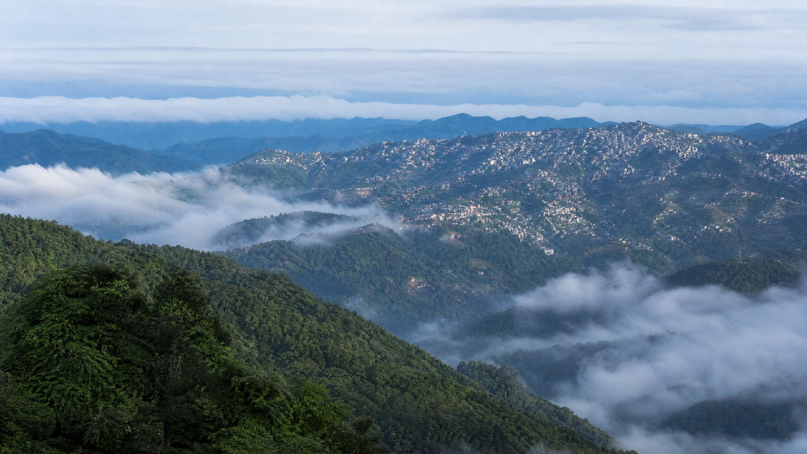 Blue-green ridges and flowering forest beneath mist at Phawngpui, Mizoram’s Blue Mountain.