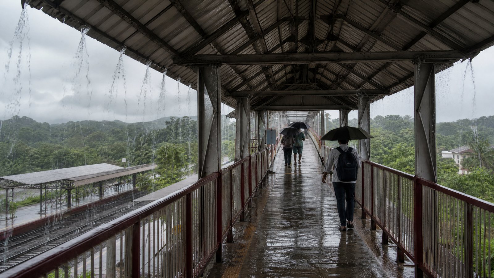 Rain-darkened road winding through green Western Ghats hills at monsoon