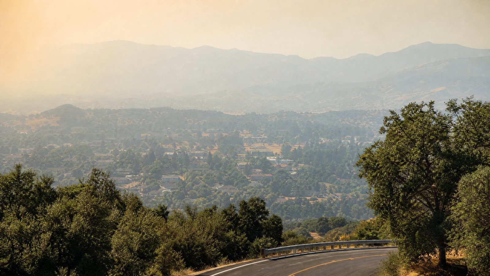 Smoke drifting through a pine valley beside an empty rural road